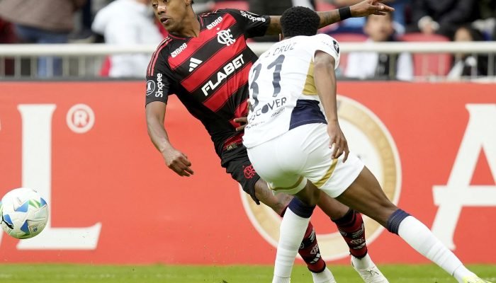 2025-04-22t222654z_530658525_up1el4m1qct5w_rtrmadp_3_soccer-libertadores-ldu-fla-report.jpg