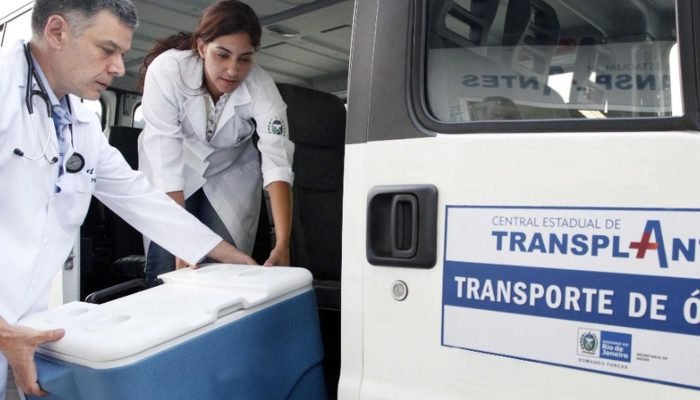 22409transplante_2_1.jpg