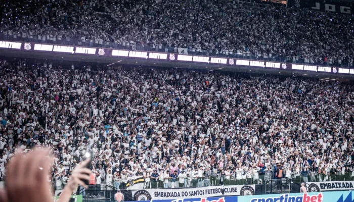 53616267938_a7183970f1_o-700x441.webp.webp