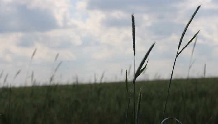 763c60967c02402d9f7877c0ed3ef7c3_858x483.jpg