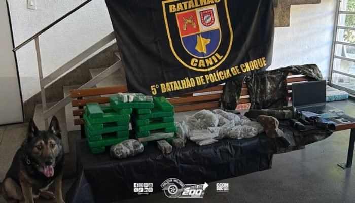APREENSOES-PM-CUBATAO.jpg