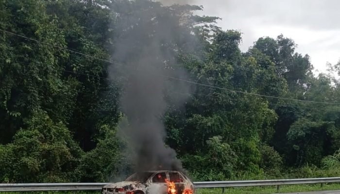 CARRO-INCENDIADO-BERTIOGA-03052026.jpg