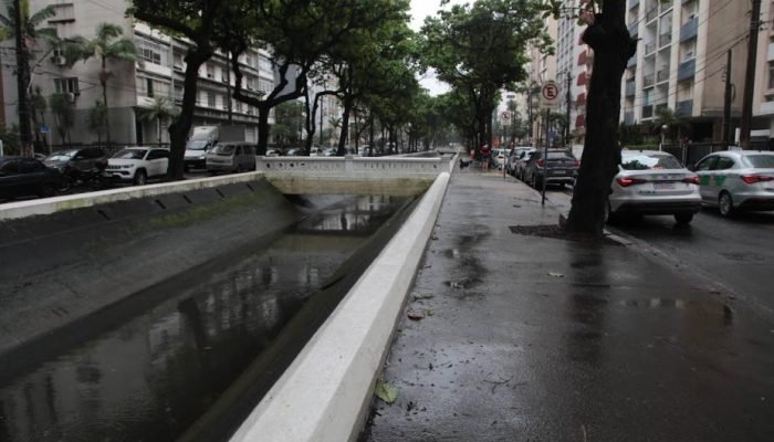 Canal-3-Foto-Isabela-Carrari.jpg