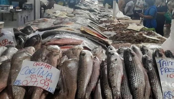 FESTIVAL-PESCADO-SANTOS-2.jpeg