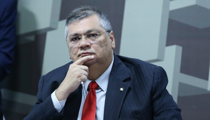 FlC3A1vio-Dino-crop-20231212233110.jpg