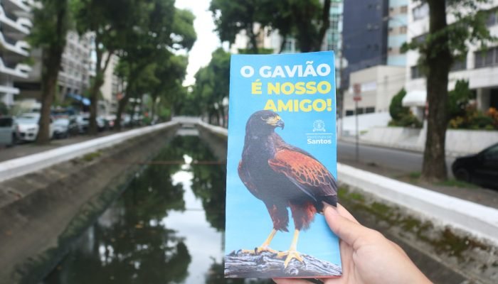 GAVIOES-EM-SANTOS-RAIMUNDO-ROSA-1.jpg