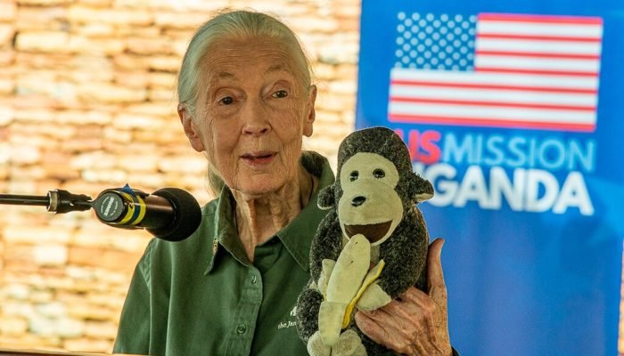 Jane-Goodall.jpg