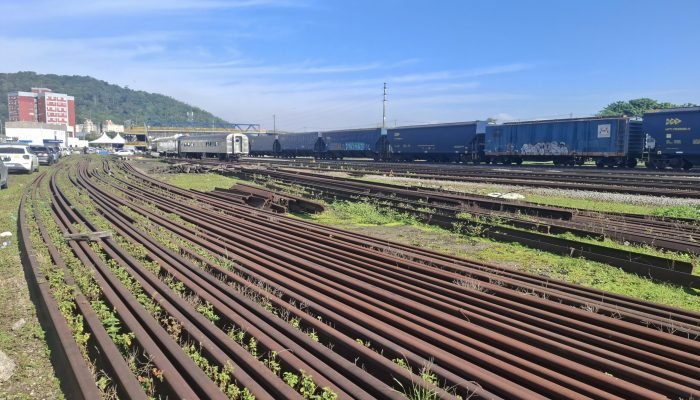 MALHA-FERROVIARIA-FERNANDO-YOKOTA.jpg