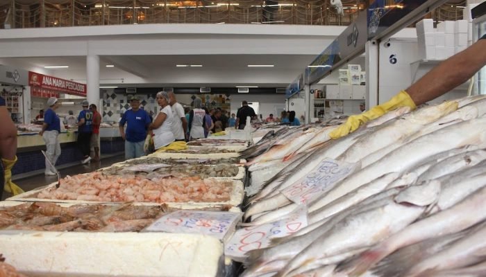 MERCADO-DE-PEIXES-NATHALIA-FILIPE.jpg
