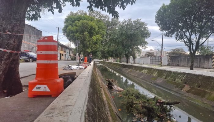 QUEDA-ARVORE-CANAL-5-1.jpeg