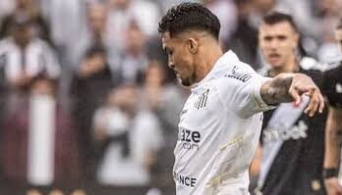 VASCO E SANTOS