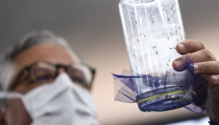 aedes-wolbachia-wolbito-mc_abr_09092025-8.jpg