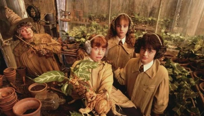 atriz-de-harry-potter-diz-que-recorrera-a-morte-assistida-se-perder-autonomia-pediria-para-ser-sacri.jpeg