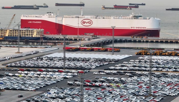 byd-navio.jpg