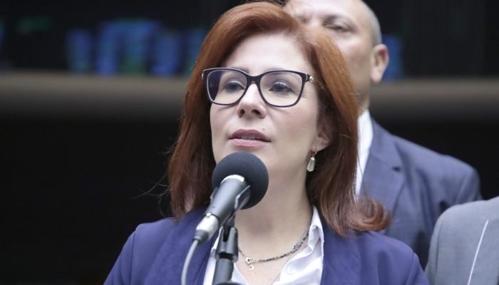 carla-zambelli-stf-2.jpg