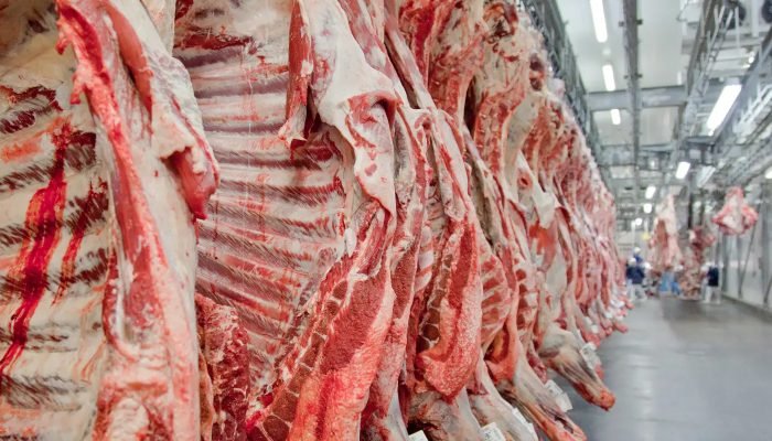 carne2.jpg