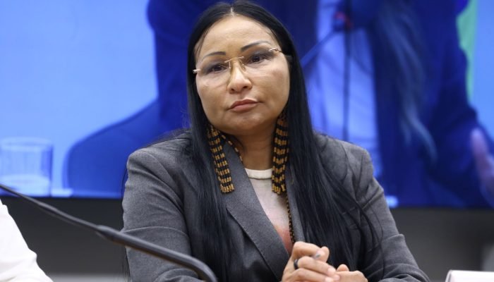deputada-silvia-waiapi.jpg