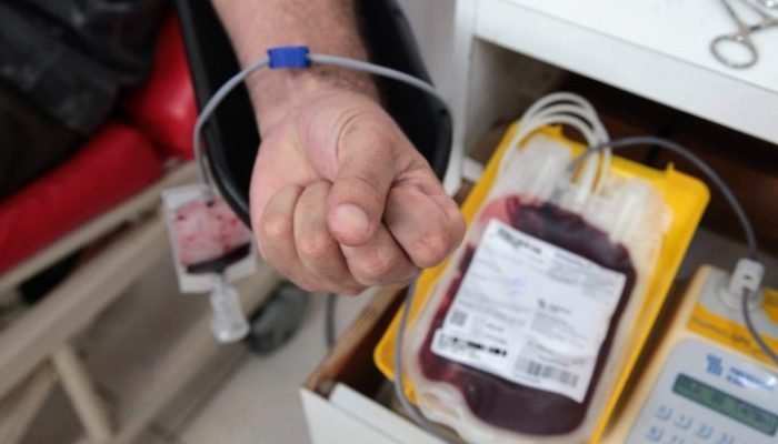 doacao_sangue-IsabelaCarrari-scaled-e1686338368318.jpg