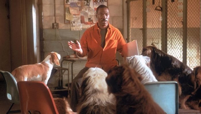 dr-dolittle-2-imagem-reproducao_widelg.jpg