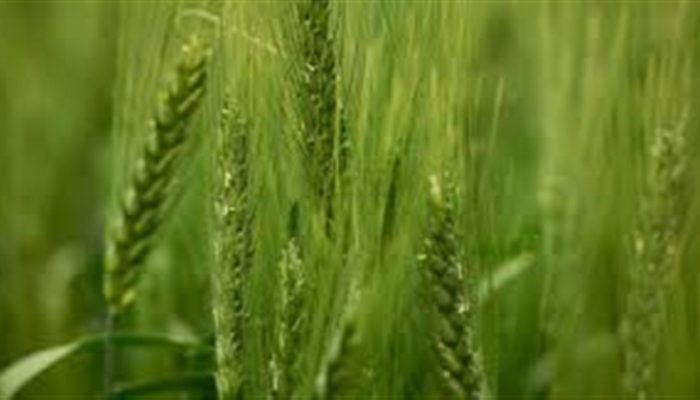 f52afb29b73b4c28b0028fcdce952cca_858x483.jpg