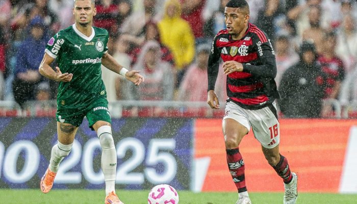 fla_x_palmeiras_brasileirao_2025_out.jpg