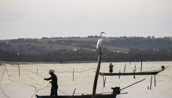 pesca-tilapia.jpg