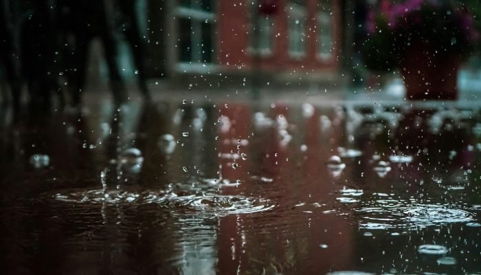 pexels-chetanvlad-1529360