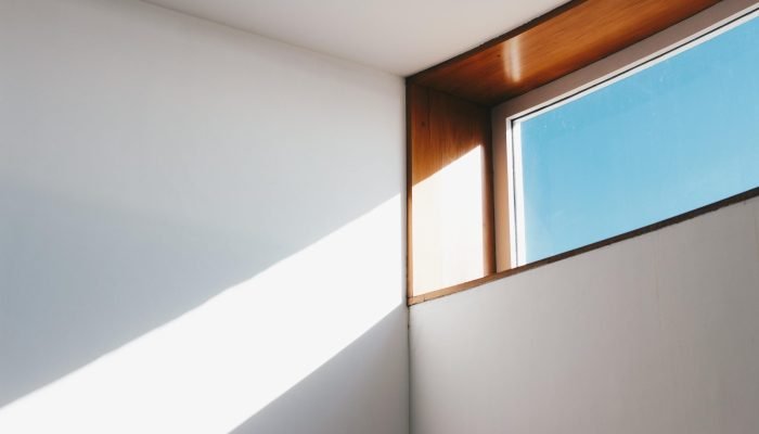 pexels-joaojesusdesign-921294.jpg