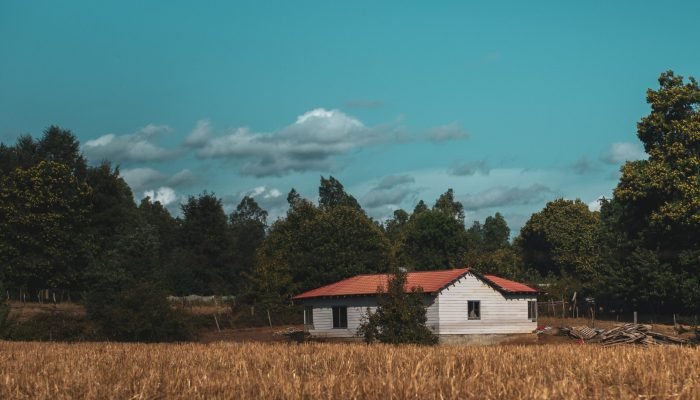 pexels-leonardo-cordova-224804140-20857763.jpg