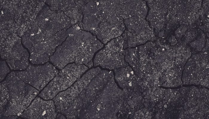 pexels-markusspiske-2004166