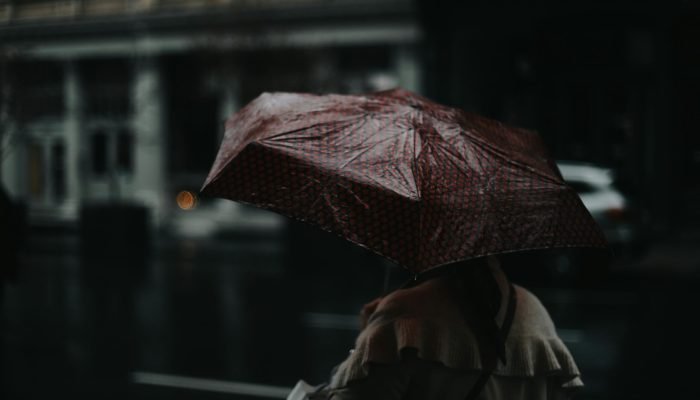 pexels-zeeshaanshabbir-7536599.jpg