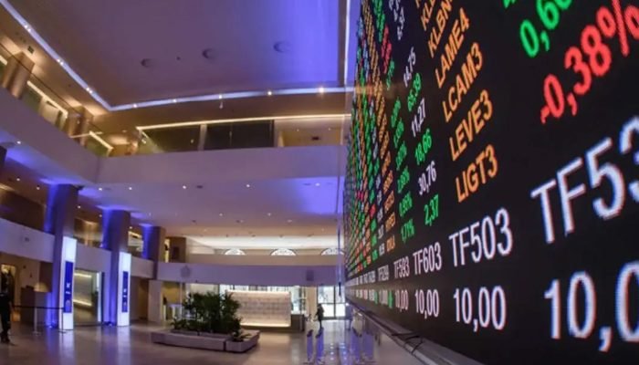 primeira-previa-da-carteira-do-ibovespa-b3-para-janeiro-de-2025.jpg