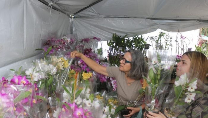raimundo_rosa_9504.jpg