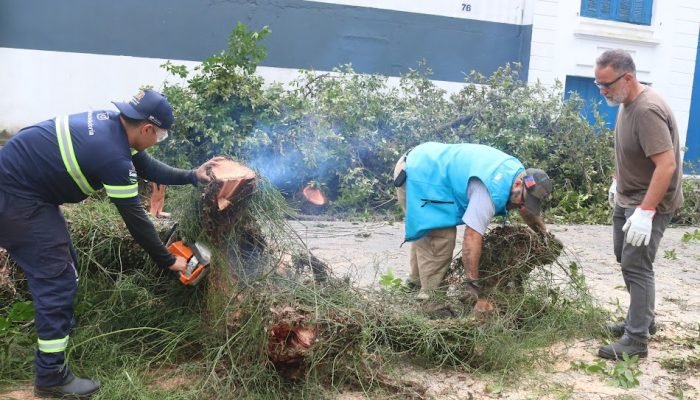 reparacao-de-ruas-ventania-em-santos.jpg