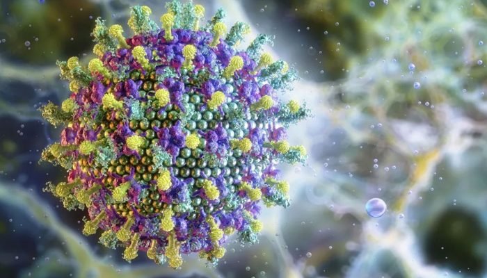 virus-nipah-e1769515319494.jpg