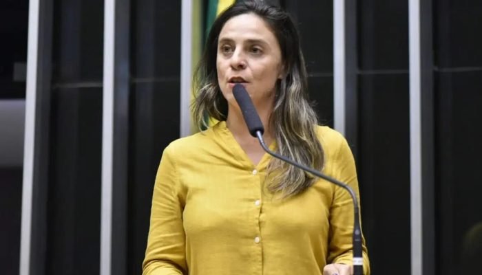zeca-ribeiro-camara-dos-deputados.jpg