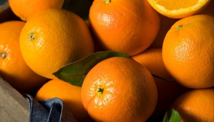 0ac5cf8e3c774899b582ed022e69b254_858x483.jpg 0ac5cf8e3c774899b582ed022e69b254_858x483.jpg