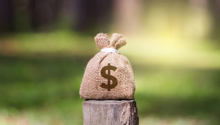 1240d81fe5c747bda5d3f183814b0122_858x483.jpg 1240d81fe5c747bda5d3f183814b0122_858x483.jpg