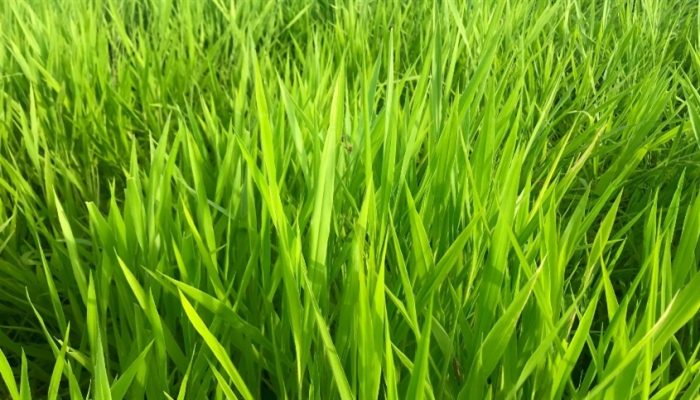 1755973387_0968429941374d76b2028bd0300fa568_858x483.jpg 1755973387_0968429941374d76b2028bd0300fa568_858x483.jpg