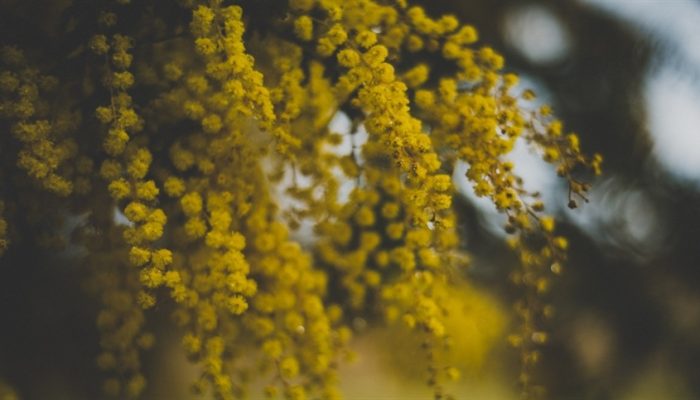 1e1ecadb22ab4356903f7631bf5bcc79_858x483.jpg 1e1ecadb22ab4356903f7631bf5bcc79_858x483.jpg