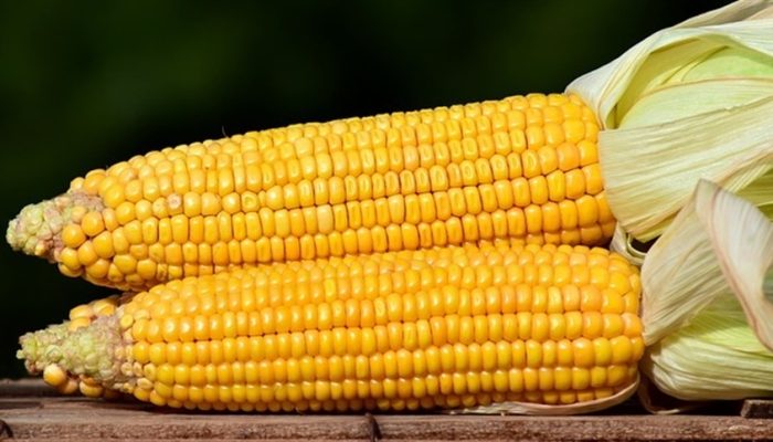 29330a97871e4b23806c5da244785900_858x483.jpg 29330a97871e4b23806c5da244785900_858x483.jpg