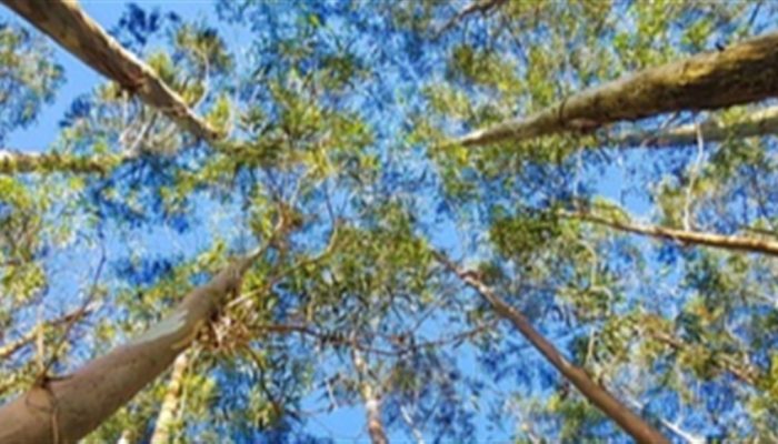 39dc9e893fd242a2a3d6a2a0aafa7052_858x483.jpg 39dc9e893fd242a2a3d6a2a0aafa7052_858x483.jpg