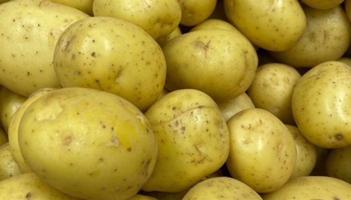 5f4ba9fcf2c24892bd980f6d0562a68a_858x483.jpg 5f4ba9fcf2c24892bd980f6d0562a68a_858x483.jpg