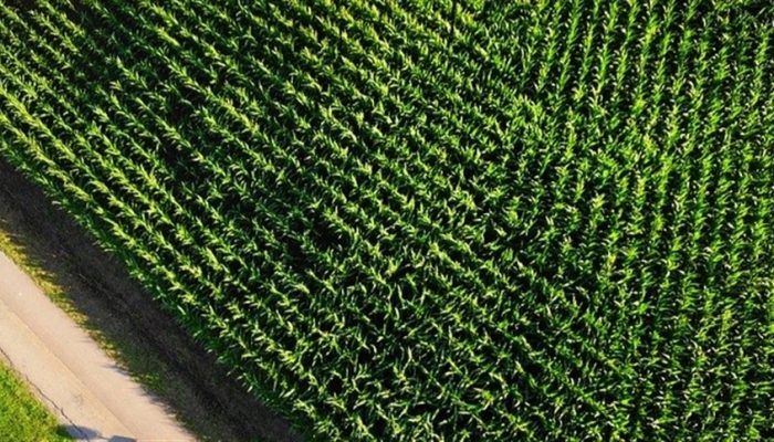 67a2945755fc4e23a707ef680dc05b69_858x483.jpg 67a2945755fc4e23a707ef680dc05b69_858x483.jpg