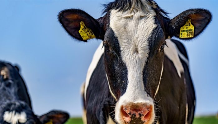 806a6e331b784f03aa6882fc49c4288d_858x483.jpg 806a6e331b784f03aa6882fc49c4288d_858x483.jpg