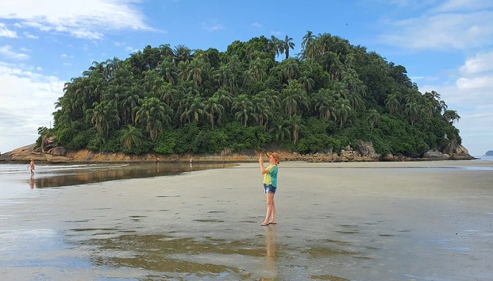 84dbb8_84e76fed717f40009768e98e53f8d2cc~mv2