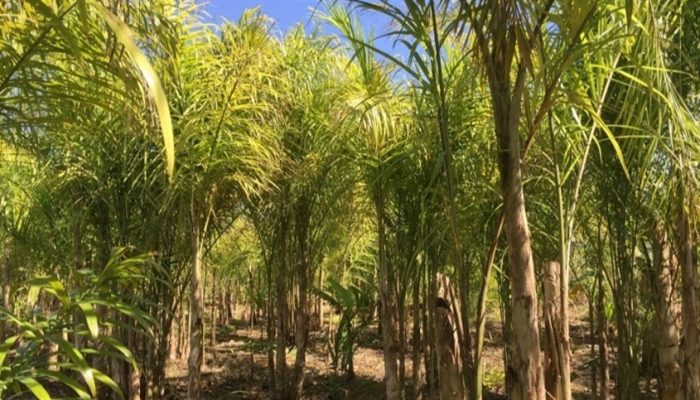 86a34b63bd5d4975a4cbc7e571581381_858x483.jpg 86a34b63bd5d4975a4cbc7e571581381_858x483.jpg