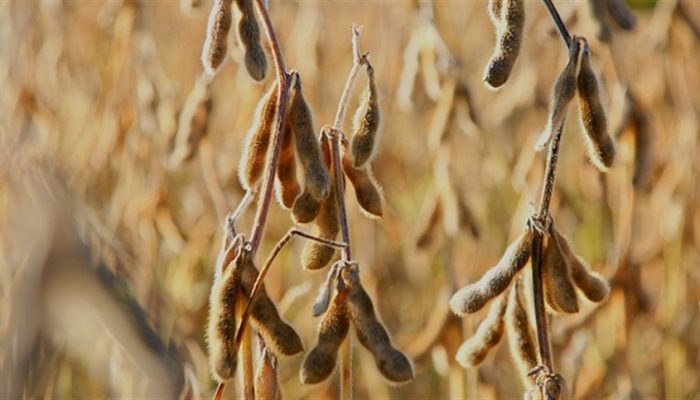 8abb8cf22033406f932687c669c756d6_858x483.jpg 8abb8cf22033406f932687c669c756d6_858x483.jpg