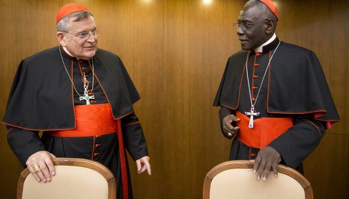 Batina-Conclave-papa.jpeg Batina-Conclave-papa.jpeg