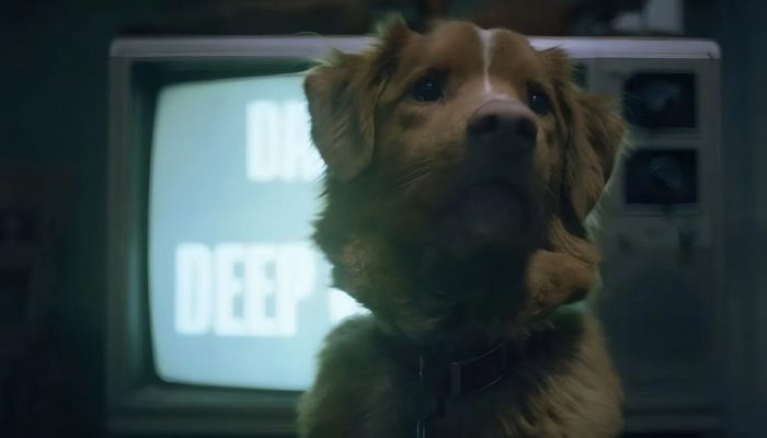 Cachorro-do-terror-‘Bom-Menino-quer-reconhecimento-para-animais-no-Oscar.jpg Cachorro-do-terror-‘Bom-Menino-quer-reconhecimento-para-animais-no-Oscar.jpg
